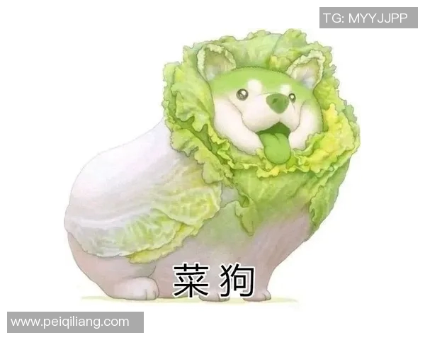 德国足球明星昔日辉煌与今日表现的深度对比分析